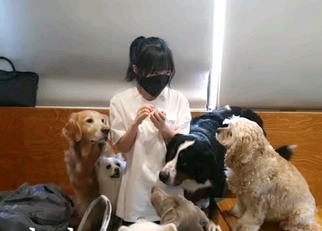 사람들은 왜 23살 bj쏘대장에게 "아가"라고 부르는 것인가 | 인스티즈