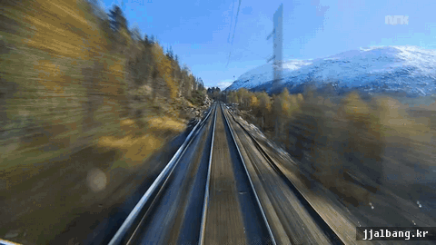 기관사1인칭시점 | 인스티즈