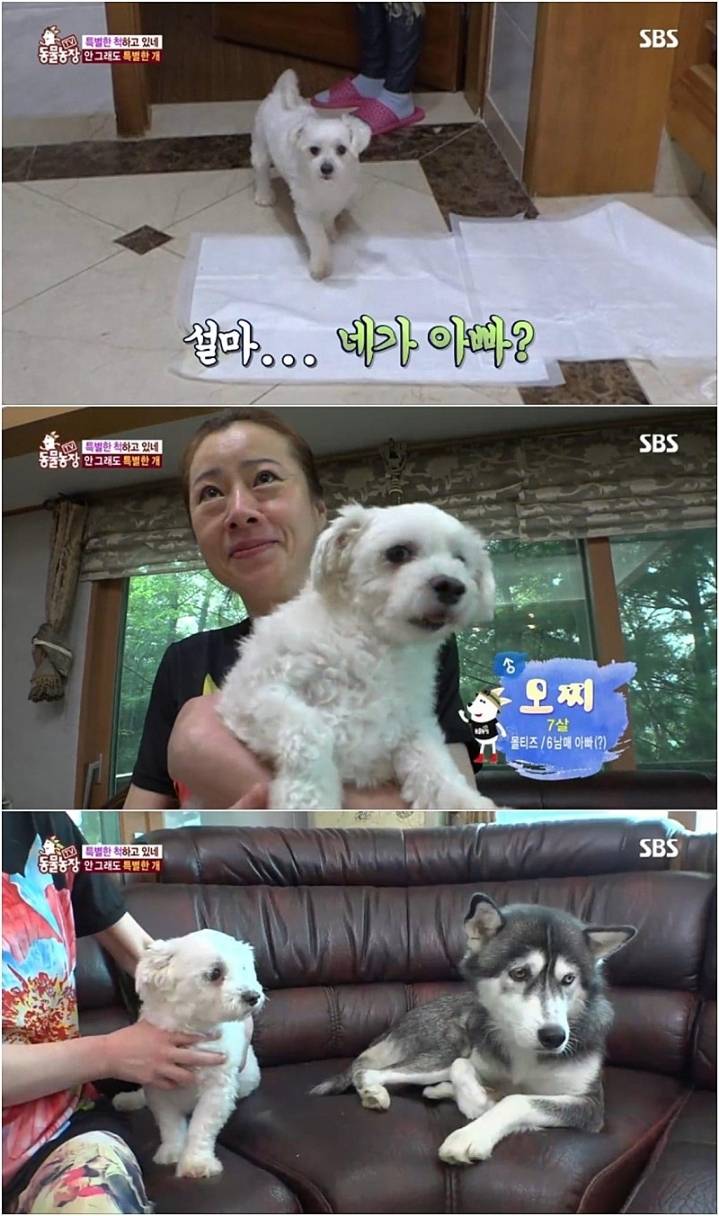 작은 고추가 맵다.jpg | 인스티즈