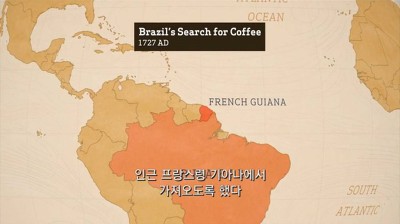 우리가 커피를 값싸게 먹을수 있는 이유 | 인스티즈