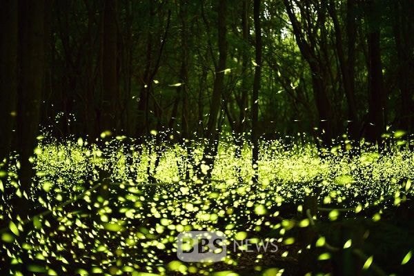 은근 많은 사람들이 모르고 있는 사실.jpg | 인스티즈