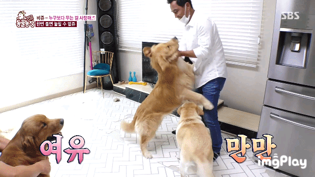 동물농장 대참사.gif | 인스티즈