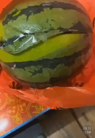 어메이징 중국 수박.gif | 인스티즈