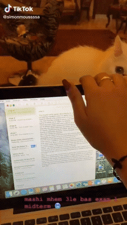 맥북 구매 첫날.gif | 인스티즈