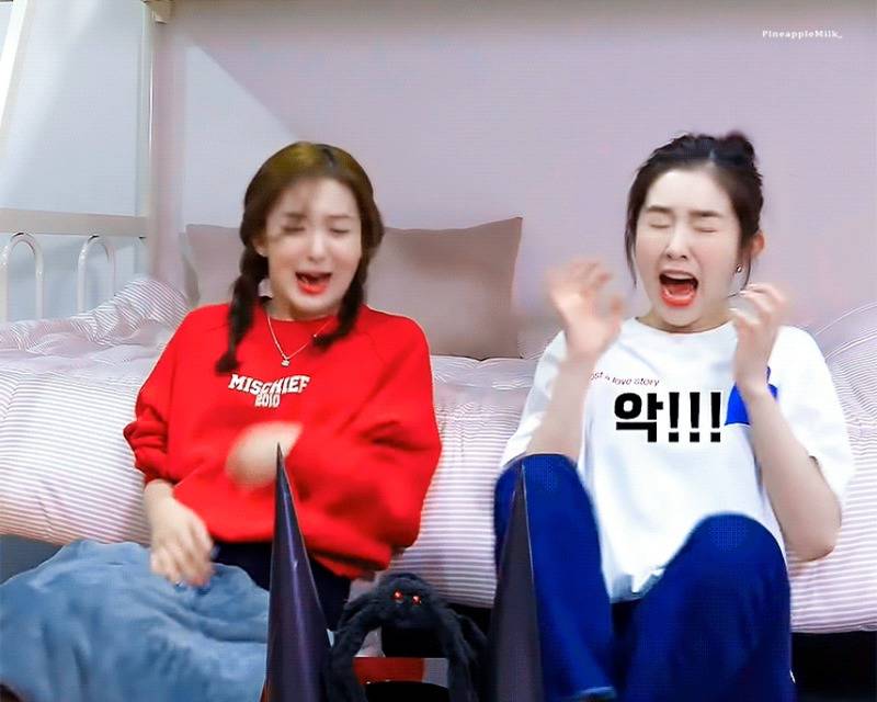 바퀴벌레 장난감 보고 놀라는 슬기를 보고 놀라는 아이린 ㅋㅋ.gif | 인스티즈