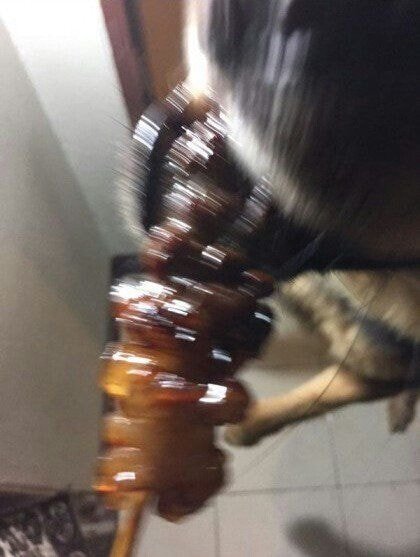 인증샷 대참사 | 인스티즈