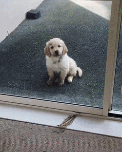 사고치고 쫓겨남 | 인스티즈