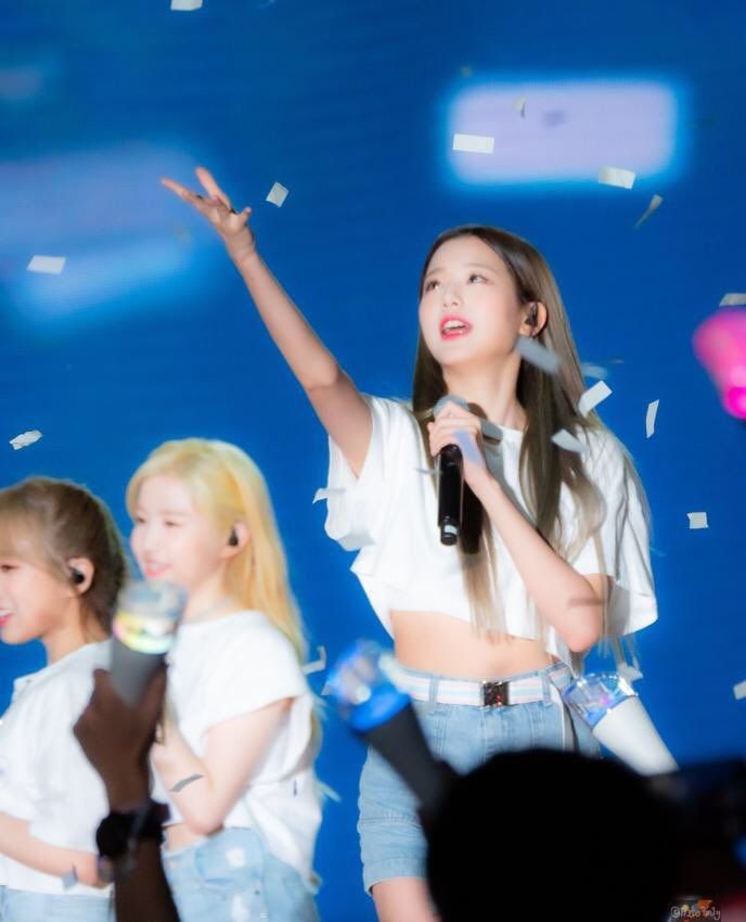 꽃가루를 너무 너무 좋아하는 아이즈원 장원영 | 인스티즈