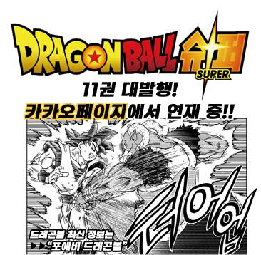 잘 안알려진 길고양이 문제 | 인스티즈