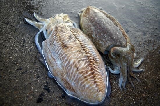 남자는 30대부터 갑 | 인스티즈