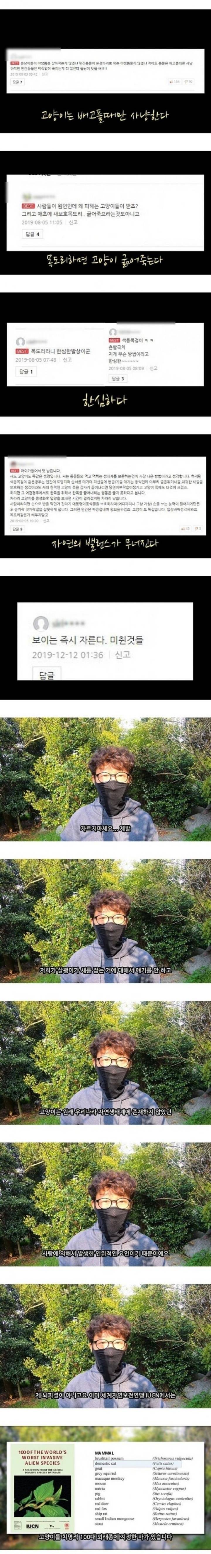 잘 안알려진 길고양이 문제 | 인스티즈