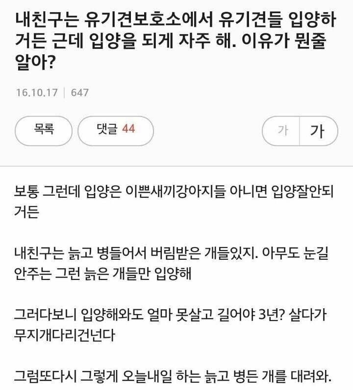 친구가 늙은개만 입양하는이유 | 인스티즈