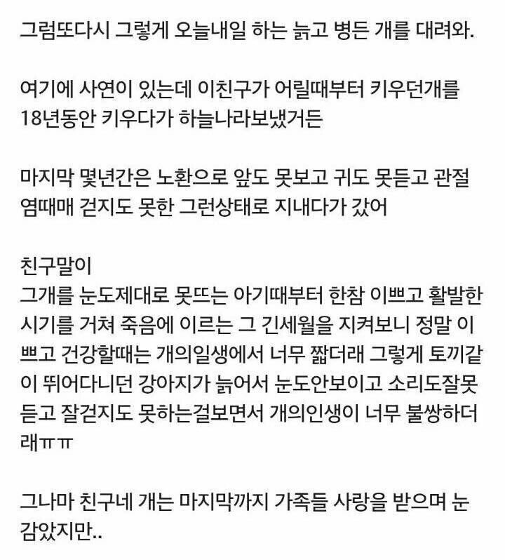 친구가 늙은개만 입양하는이유 | 인스티즈