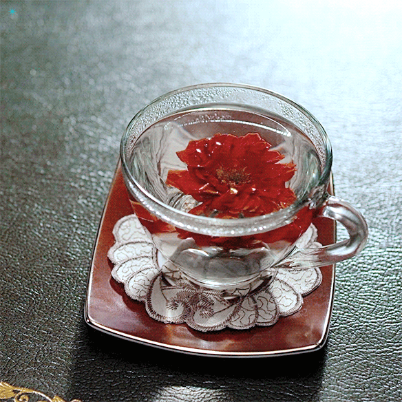 박보영 박소담 같이 나온 영화 | 인스티즈