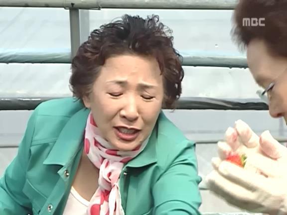 [거침없이하이킥] 봄바람 난 문희여사 에피소드.jpg | 인스티즈