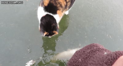 솔라 의상 왜이래? jpg | 인스티즈