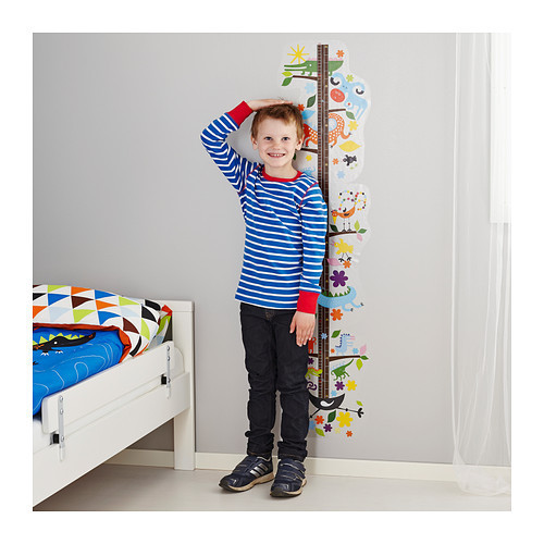 본인 키 만족한다vs만족못한다 | 인스티즈