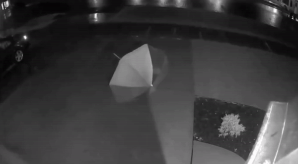 우산을 펴서 말리면 안되는 이유 ㄷㄷ | 인스티즈