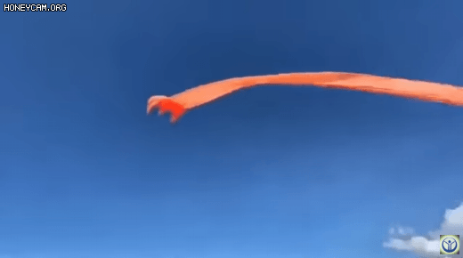 어제 대만 연날리기 축제에서 일어난 사고 | 인스티즈