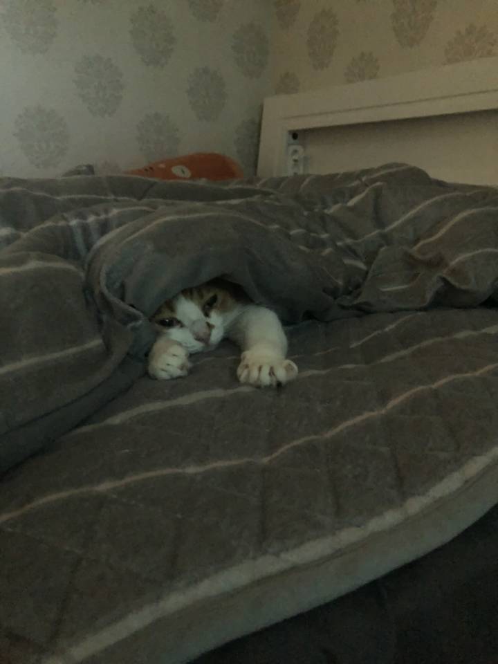 와이프랑 호들갑 .kakao | 인스티즈