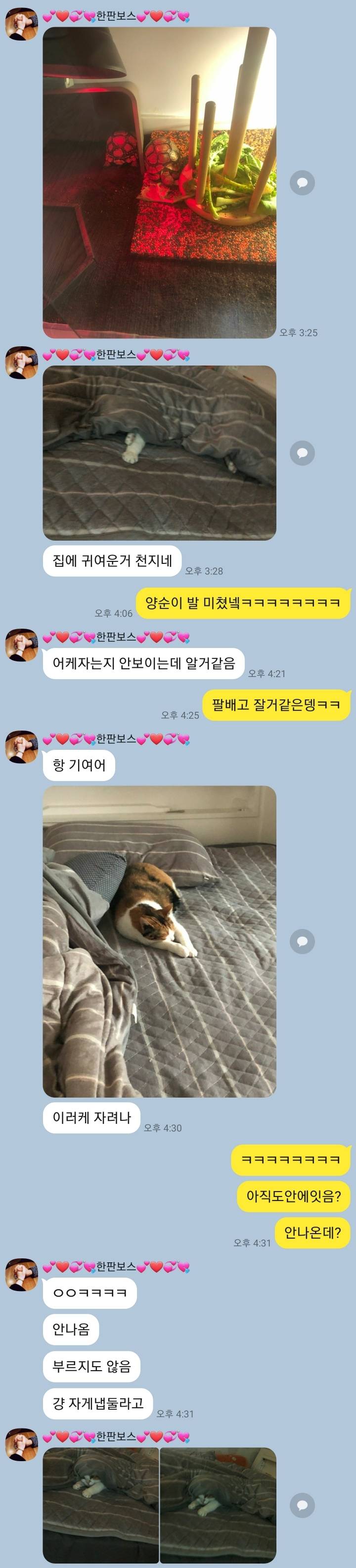 와이프랑 호들갑 .kakao | 인스티즈