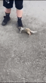 물 구걸하는 방법 | 인스티즈