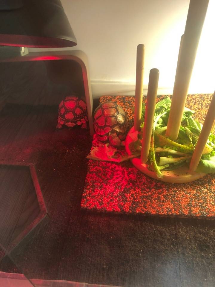 와이프랑 호들갑 .kakao | 인스티즈