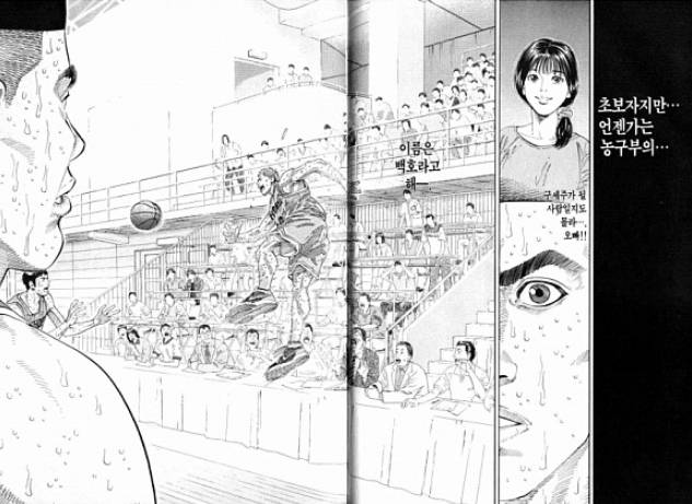 [슬램덩크] 강백호가 3학년이 되면 서태웅을 넘는다 vs 동급까지는 가능하다 vs 못 넘는다 | 인스티즈