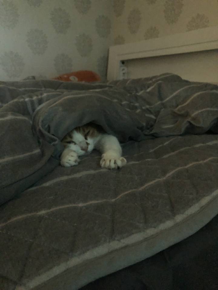 와이프랑 호들갑 .kakao | 인스티즈