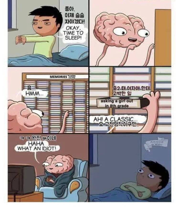 당신이 잠들기전 뇌 | 인스티즈