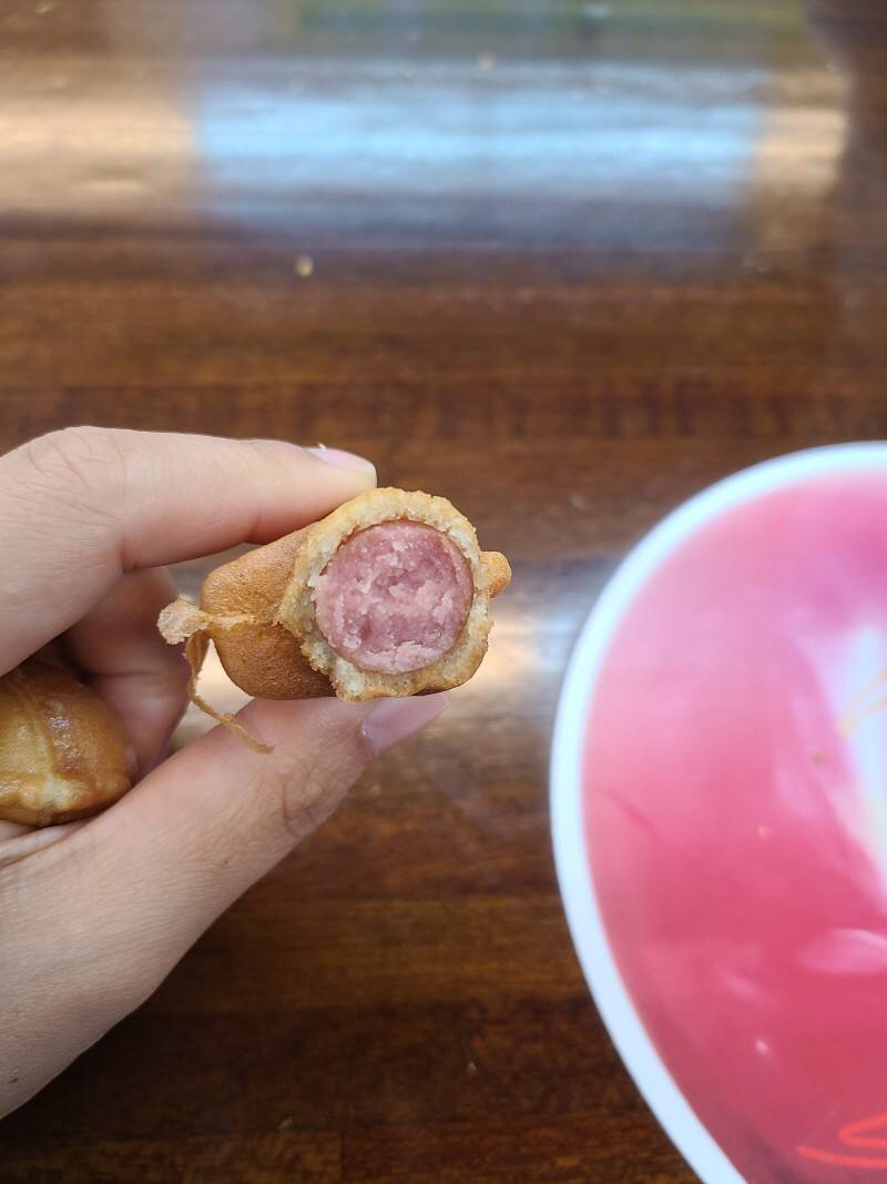 경남 고성 공룡엑스포에서 판다는 공룡빵..jpg | 인스티즈