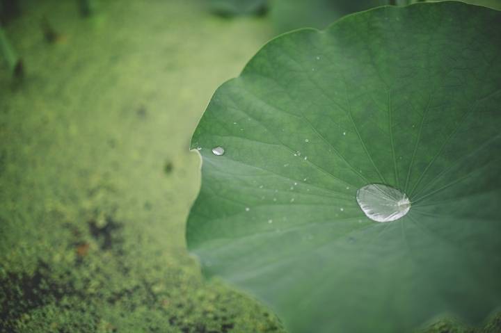 섹스하면 똑똑해진다.jpg | 인스티즈