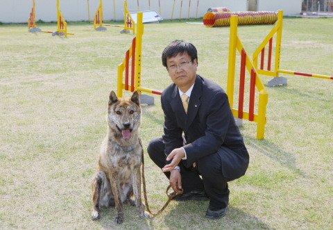 수없게생겼다고 일본이 대량 학살한 우리나라 토종개 동경이(댕견) | 인스티즈