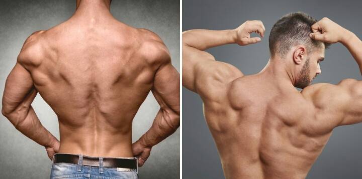 가장 멋지다고 생각하는 근육은? | 인스티즈