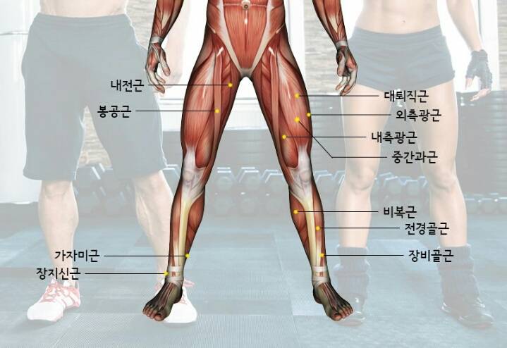 가장 멋지다고 생각하는 근육은? | 인스티즈