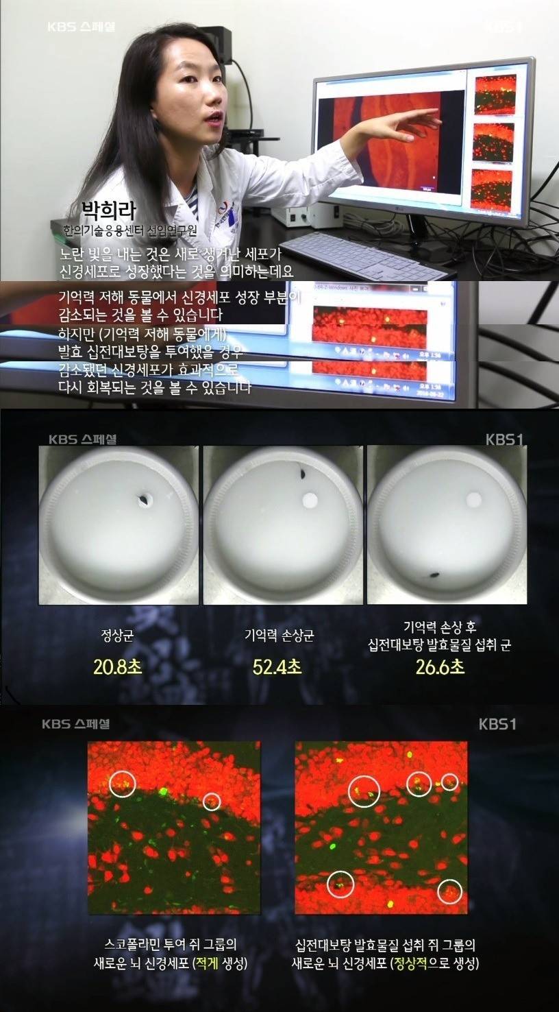 미국 의사들이 말하는 한의학 | 인스티즈