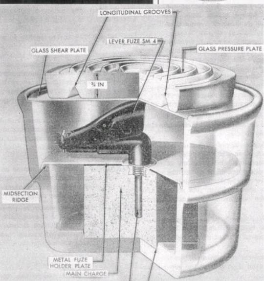 탐지기 안통하는 | 인스티즈