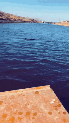 물고기 거래 | 인스티즈