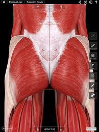 가장 멋지다고 생각하는 근육은? | 인스티즈