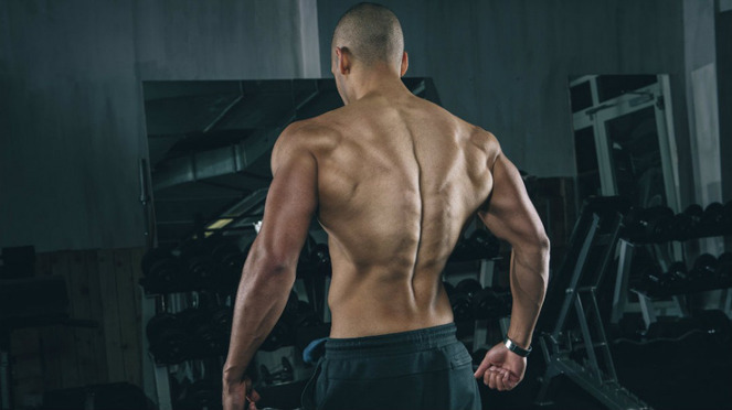 가장 멋지다고 생각하는 근육은? | 인스티즈