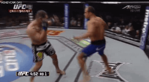 UFC 헤비급 역사상 가장 강하다고 생각되는 선수는? | 인스티즈