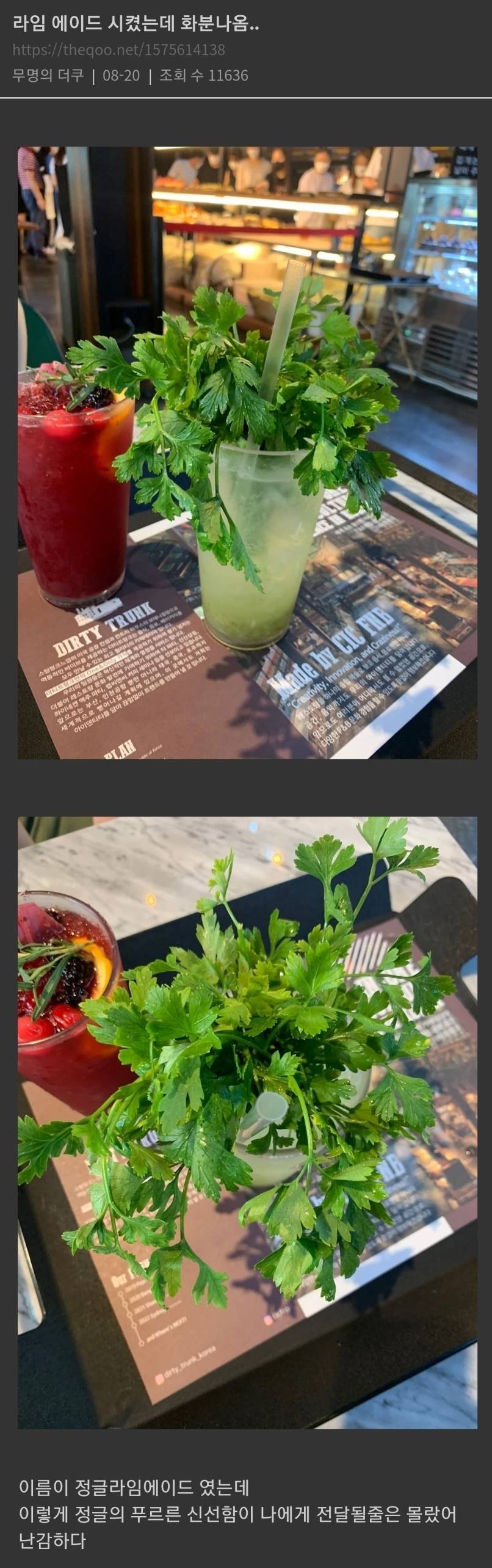 흔한 라임에이드 | 인스티즈