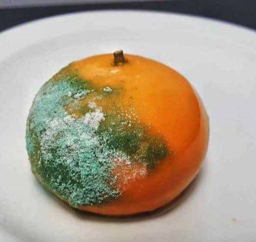 신박한 디저트.jpg | 인스티즈