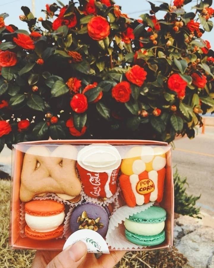 외국인들도 환장할 것 같은 k-마카롱 | 인스티즈