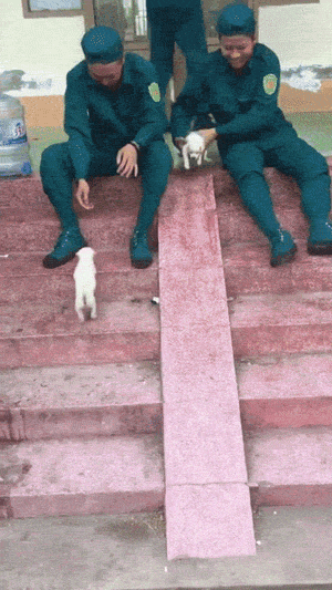 아기댕댕이와 놀아주기 | 인스티즈