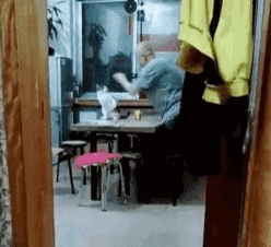 고양이 데리고오면 버린다는 아빠 | 인스티즈