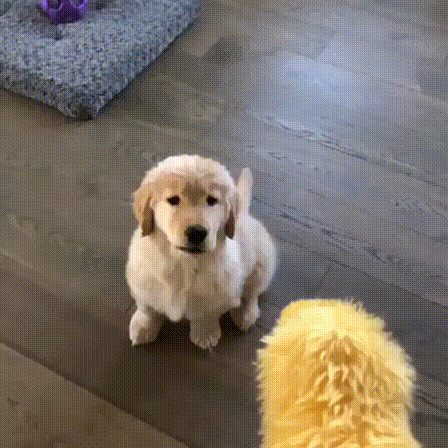 인절미 좋아하세요? | 인스티즈