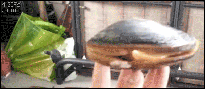 조개 발놀림 | 인스티즈