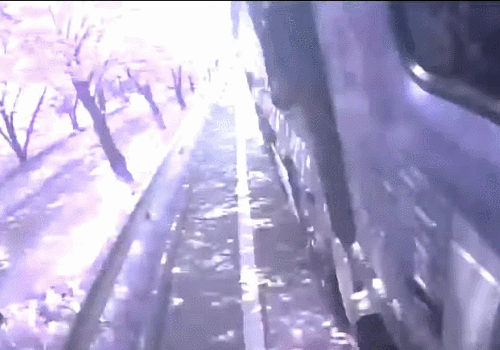 안나도 됐을만한 사고 | 인스티즈