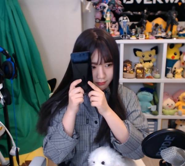 스트리머 소니쇼의 손크기 | 인스티즈